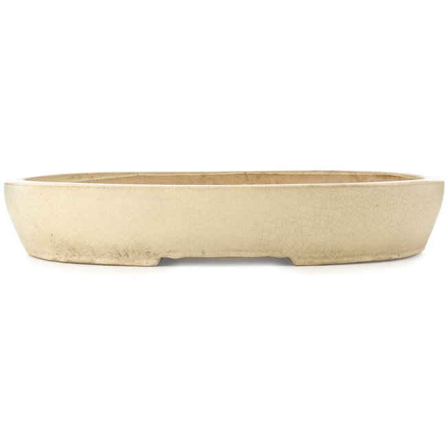 Ovale witte craquelé bonsaipot - 612 x 490 x 105 mm