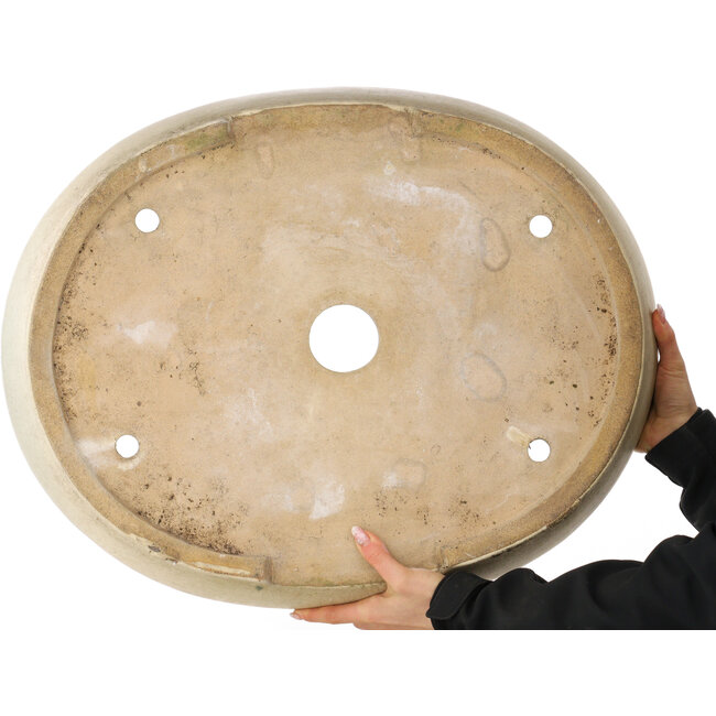 Maceta para bonsái craquelé blanca ovalada - 612 x 490 x 105 mm