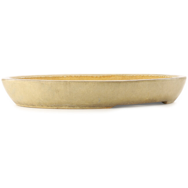 Vaso bonsai ovale beige di Koyou - 550 x 460 x 75 mm