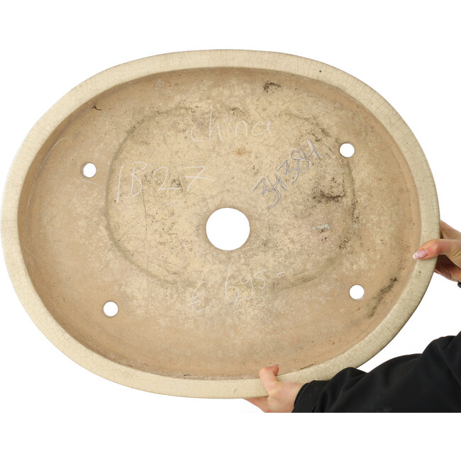 Pot à bonsaï ovale craquelé blanc - 612 x 490 x 105 mm