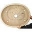 Ovale witte craquelé bonsaipot - 612 x 490 x 105 mm