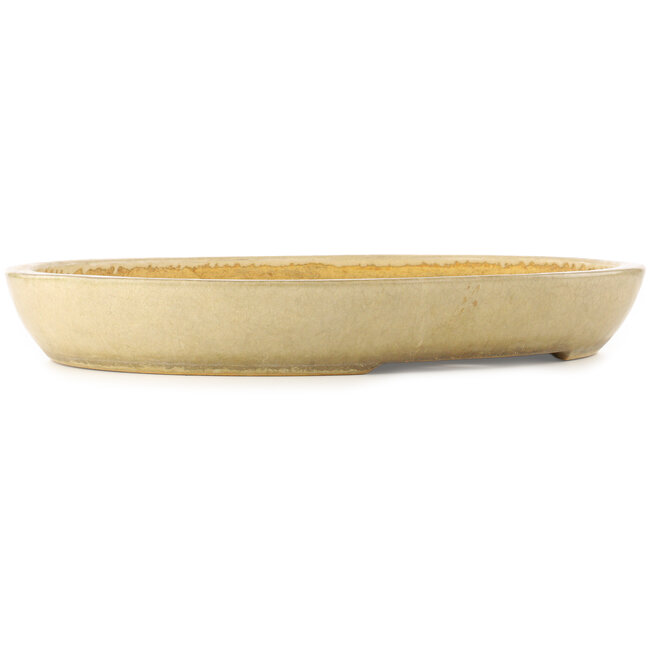 Oval beige bonsai pot by Koyou - 550 x 460 x 75 mm