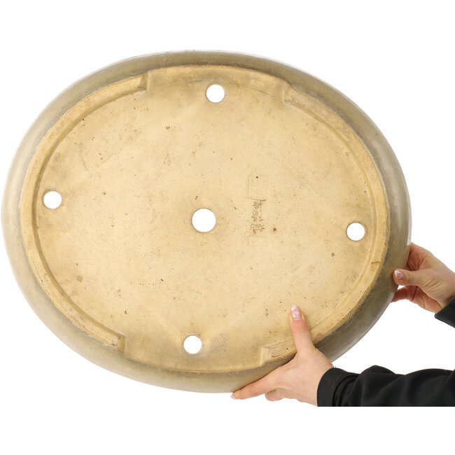 Oval beige bonsai pot by Koyou - 550 x 460 x 75 mm