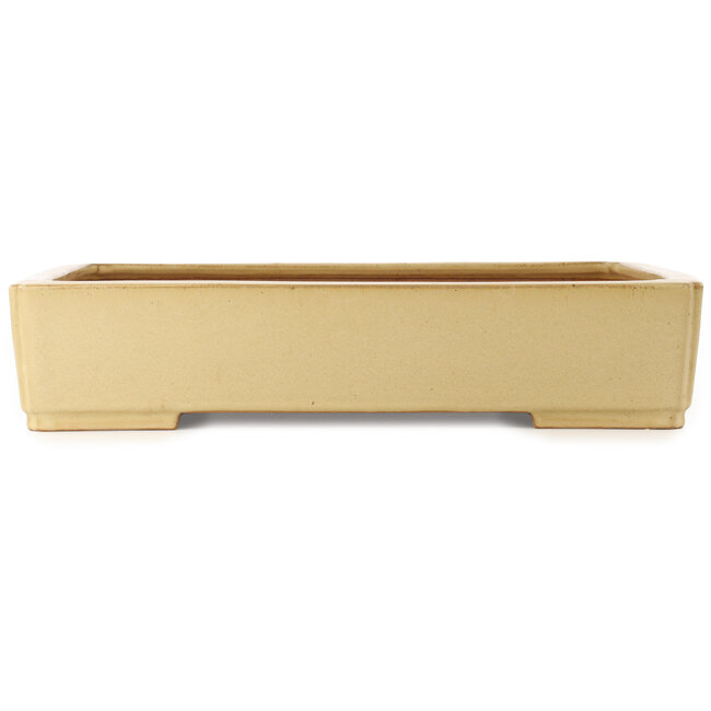Rectangular beige bonsai pot by Reiho - 540 x 395 x 114 mm
