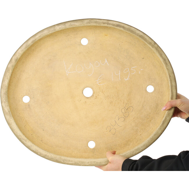 Maceta ovalada beige para bonsái de Koyou - 550 x 460 x 75 mm