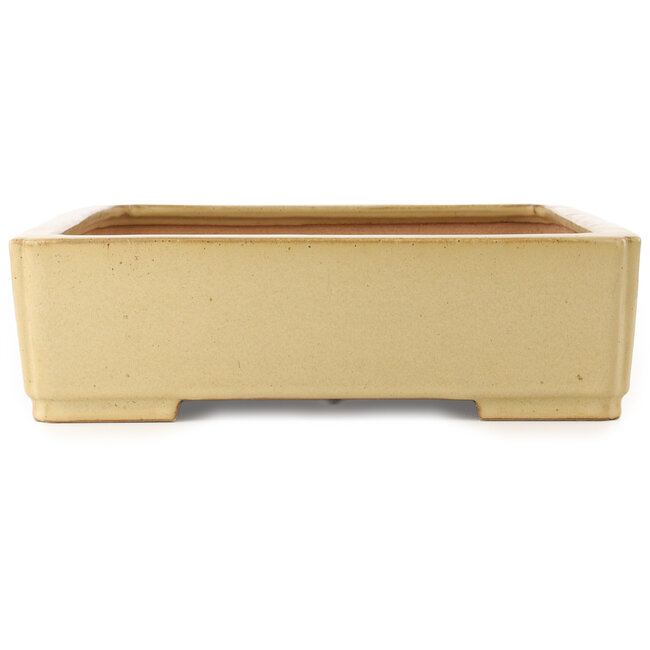 Rectangular beige bonsai pot by Reiho - 540 x 395 x 114 mm