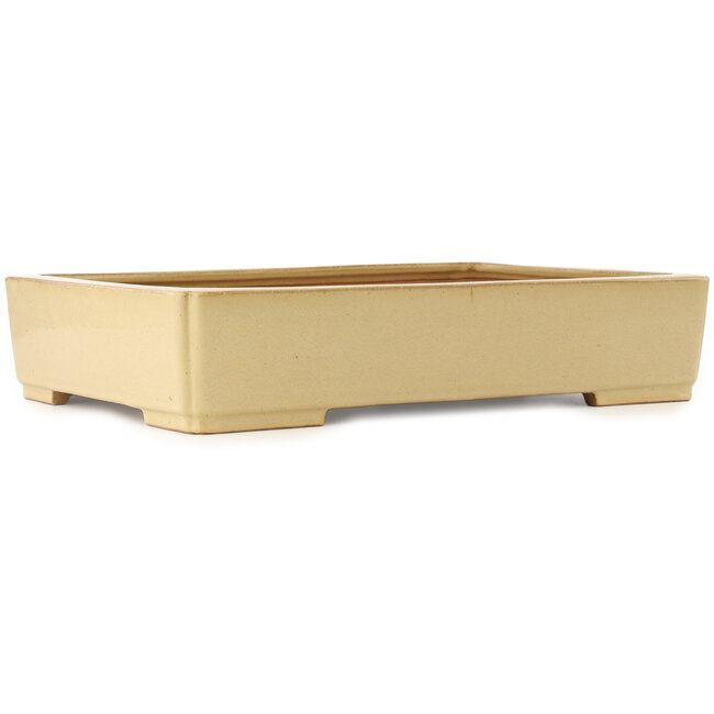 Rectangular beige bonsai pot by Reiho - 540 x 395 x 114 mm