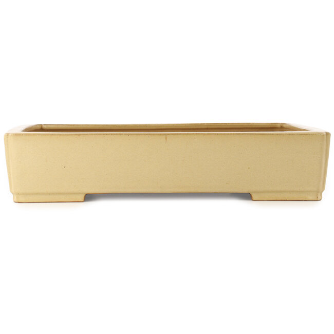 Maceta rectangular beige para bonsái de Reiho - 540 x 395 x 114 mm