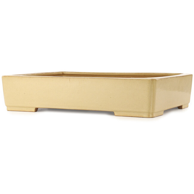 Rechthoekige beige bonsai pot van Reiho - 540 x 395 x 114 mm