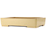 Rectangular beige bonsai pot by Reiho - 540 x 395 x 114 mm