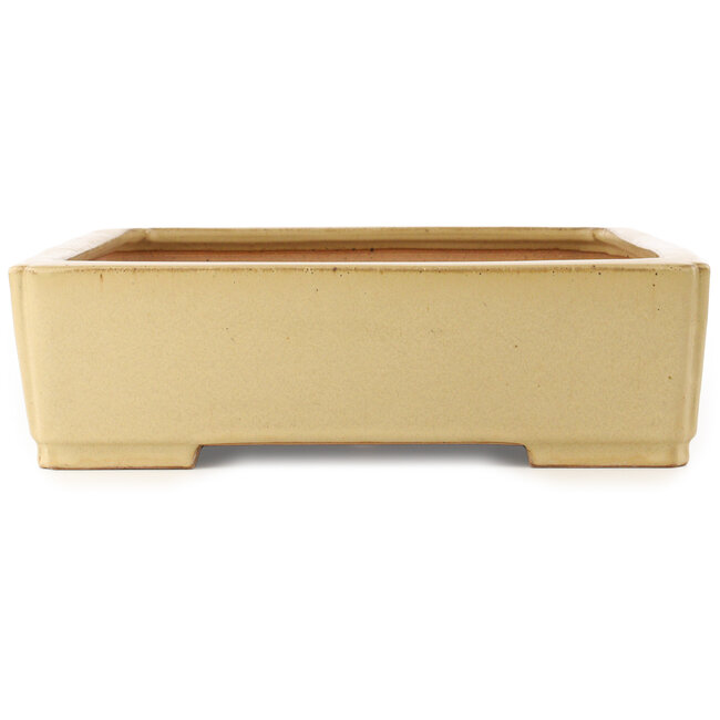 Rectangular beige bonsai pot by Reiho - 540 x 395 x 114 mm
