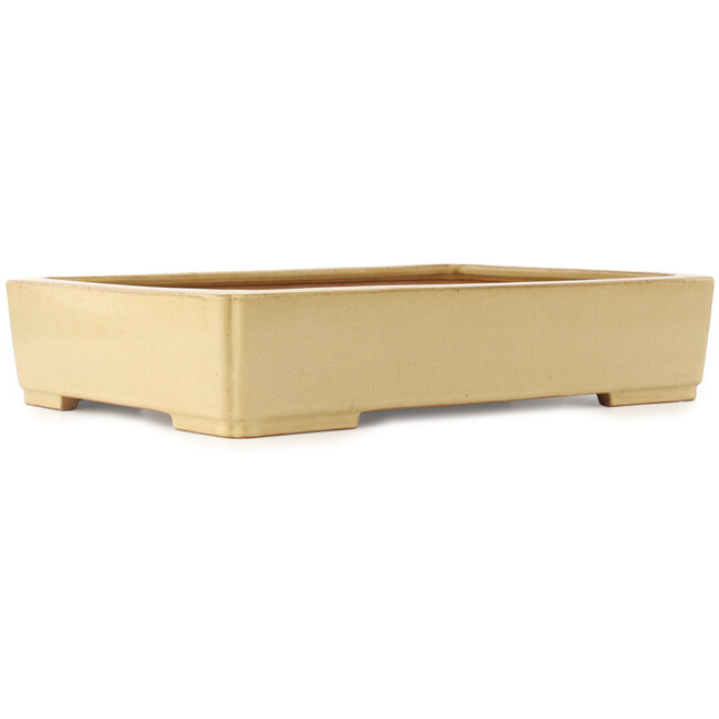 Rechteckiger beiger Bonsaitopf von Reiho - 540 x 395 x 114 mm