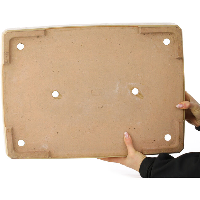 Pot à bonsaï rectangulaire beige de Reiho - 540 x 395 x 114 mm