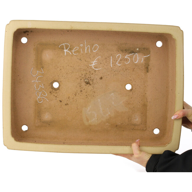 Pot à bonsaï rectangulaire beige de Reiho - 540 x 395 x 114 mm