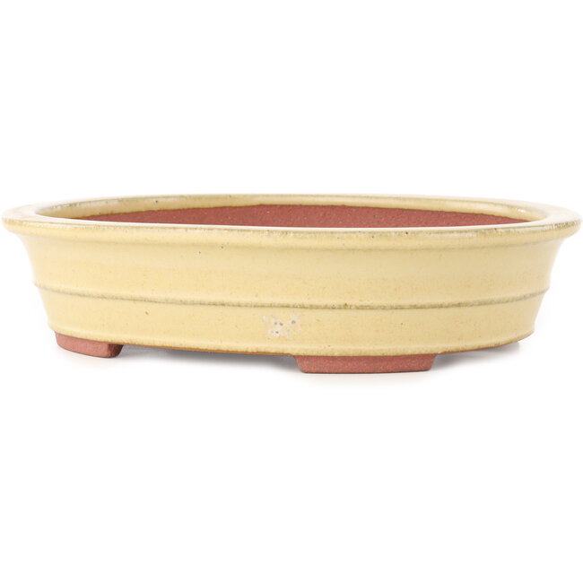 Vaso bonsai ovale beige di Reiho - 257 x 208 x 60 mm
