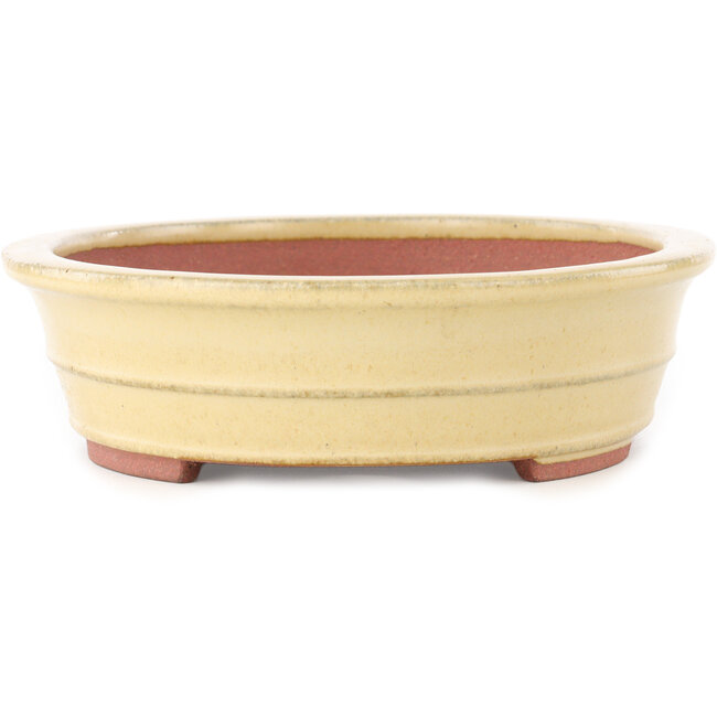 Ovale beige bonsai pot van Reiho - 257 x 208 x 60 mm