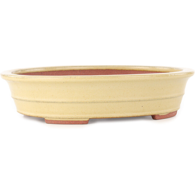 Maceta ovalada beige para bonsái de Reiho - 257 x 208 x 60 mm
