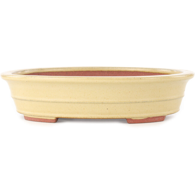 Maceta ovalada beige para bonsái de Reiho - 257 x 208 x 60 mm