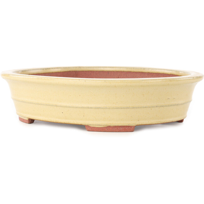 Oval beige bonsai pot by Reiho - 257 x 208 x 60 mm