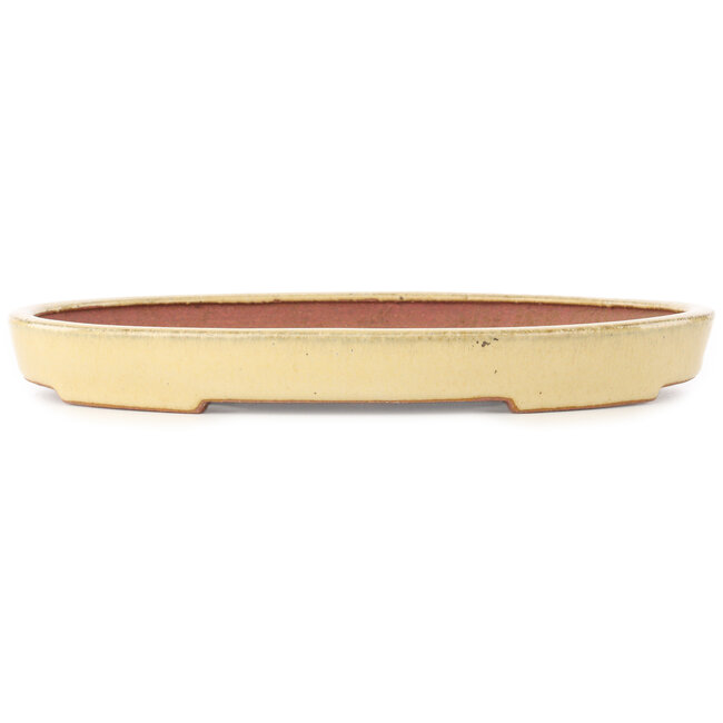 Ovale beige bonsai pot van Reiho - 247 x 177 x 27 mm