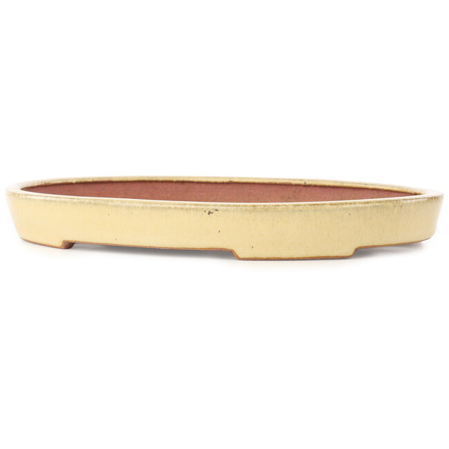 Ovale beige bonsai pot van Reiho - 247 x 177 x 27 mm