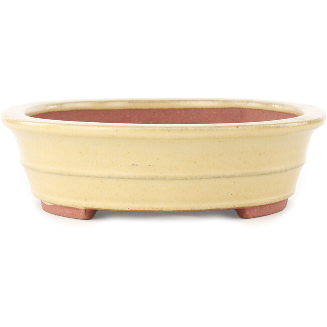 Oval beige bonsai pot by Reiho - 257 x 208 x 60 mm