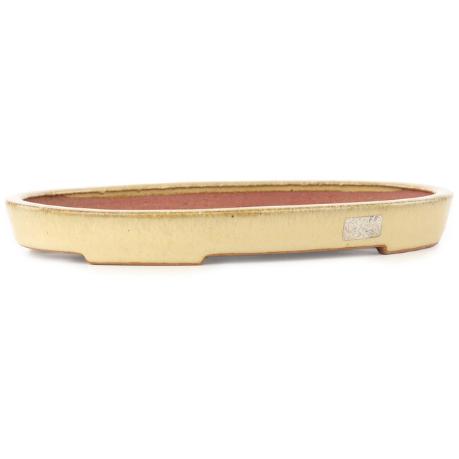 Oval beige bonsai pot by Reiho - 247 x 177 x 27 mm