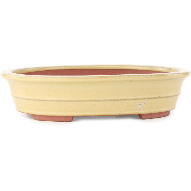 Oval beige bonsai pot by Reiho - 257 x 208 x 60 mm