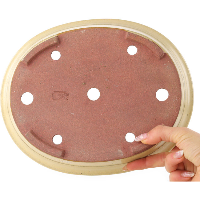 Pot à bonsaï ovale beige de Reiho - 257 x 208 x 60 mm