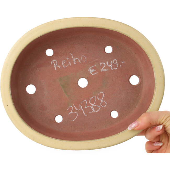 Oval beige bonsai pot by Reiho - 257 x 208 x 60 mm