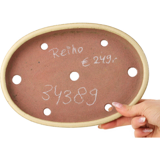 Maceta ovalada beige para bonsái de Reiho - 247 x 177 x 27 mm