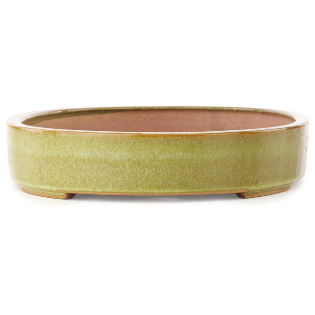 Vaso bonsai ovale marrone di Reiho - 345 x 252 x 52 mm