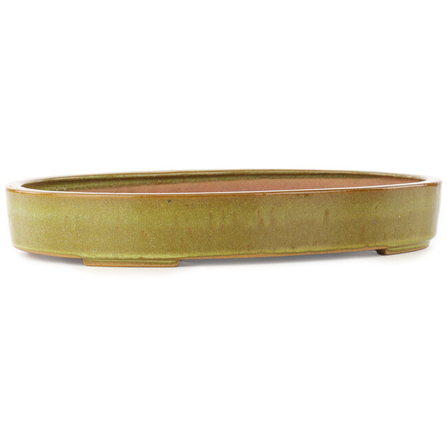 Ovale bruine bonsai pot van Reiho - 345 x 252 x 52 mm