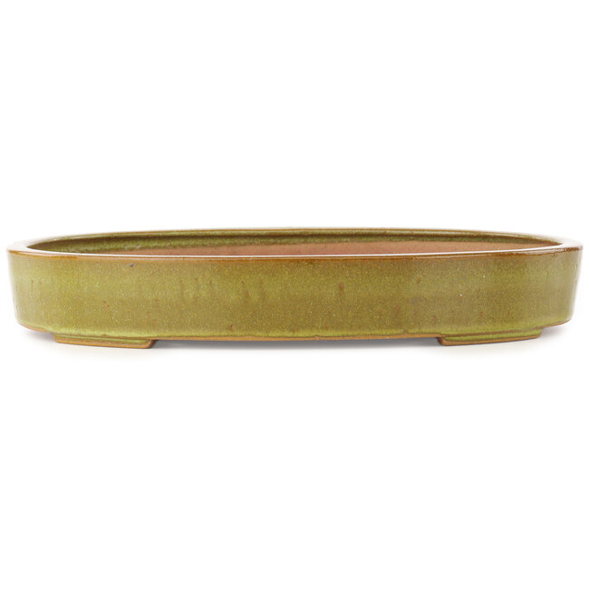 Oval brown bonsai pot by Reiho - 345 x 252 x 52 mm