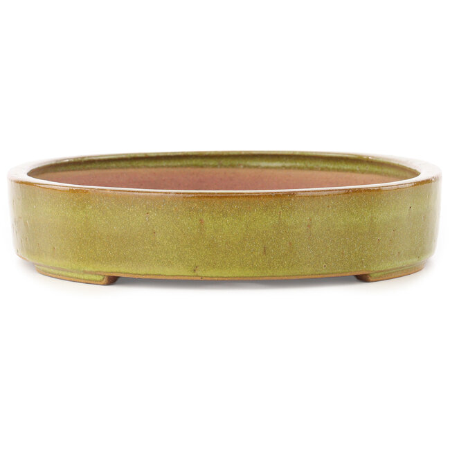 Pot à bonsaï ovale marron de Reiho - 345 x 252 x 52 mm