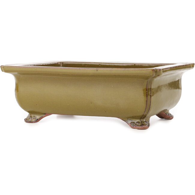 Maceta rectangular marrón para bonsái de Reiho - 247 x 185 x 85 mm