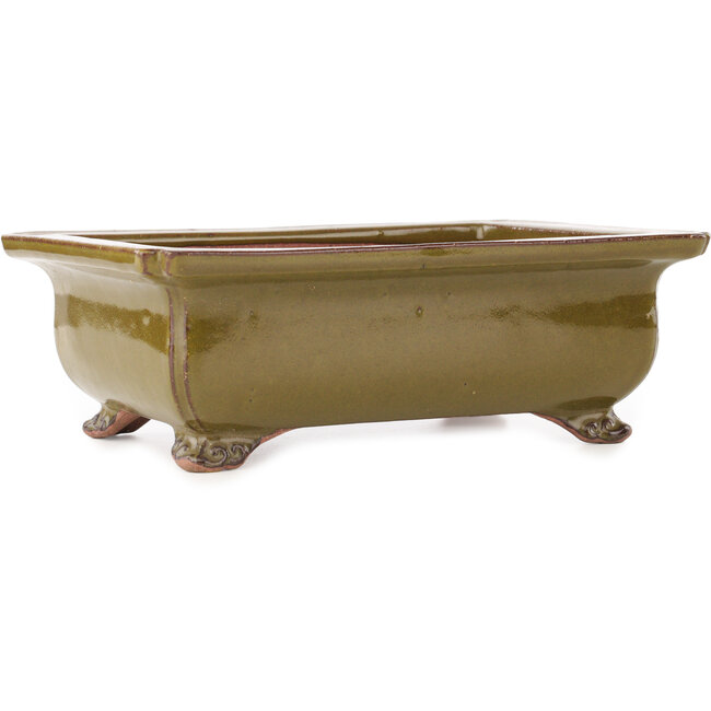 Pot à bonsaï rectangulaire marron de Reiho - 247 x 185 x 85 mm