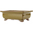 Rectangular brown bonsai pot by Reiho - 247 x 185 x 85 mm