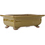 Rectangular brown bonsai pot by Reiho - 247 x 185 x 85 mm