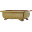 Rectangular brown bonsai pot by Reiho - 250 x 185 x 85 mm