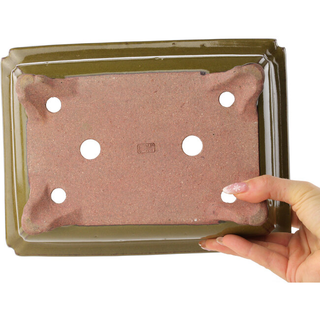 Pot à bonsaï rectangulaire marron de Reiho - 247 x 185 x 85 mm