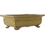 Rectangular brown bonsai pot by Reiho - 250 x 185 x 85 mm