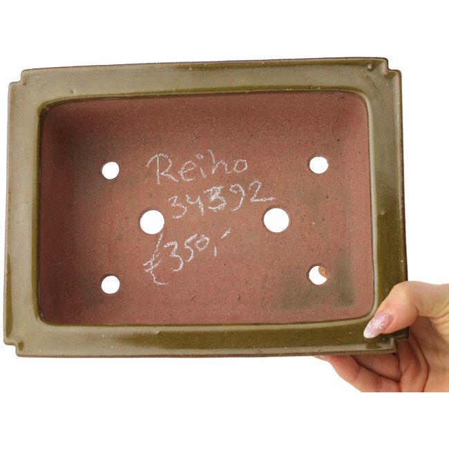 Rectangular brown bonsai pot by Reiho - 247 x 185 x 85 mm