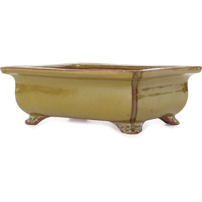 Maceta rectangular marrón para bonsái de Reiho - 250 x 185 x 85 mm