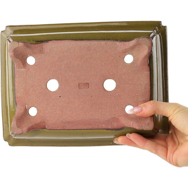 Maceta rectangular marrón para bonsái de Reiho - 250 x 185 x 85 mm