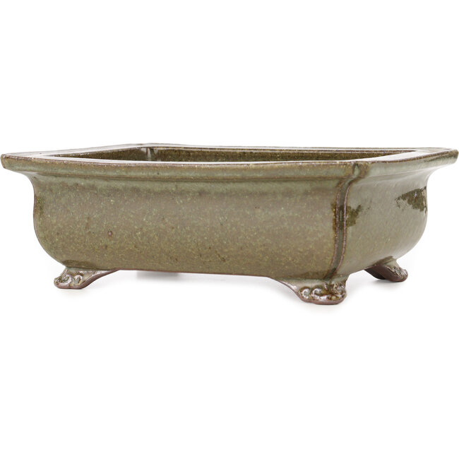 Pot à bonsaï rectangulaire marron de Reiho - 250 x 187 x 85 mm