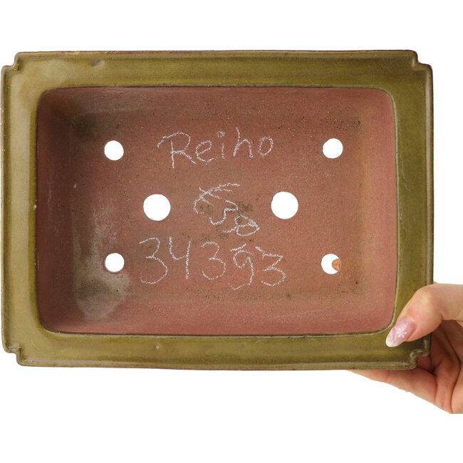 Rectangular brown bonsai pot by Reiho - 250 x 185 x 85 mm