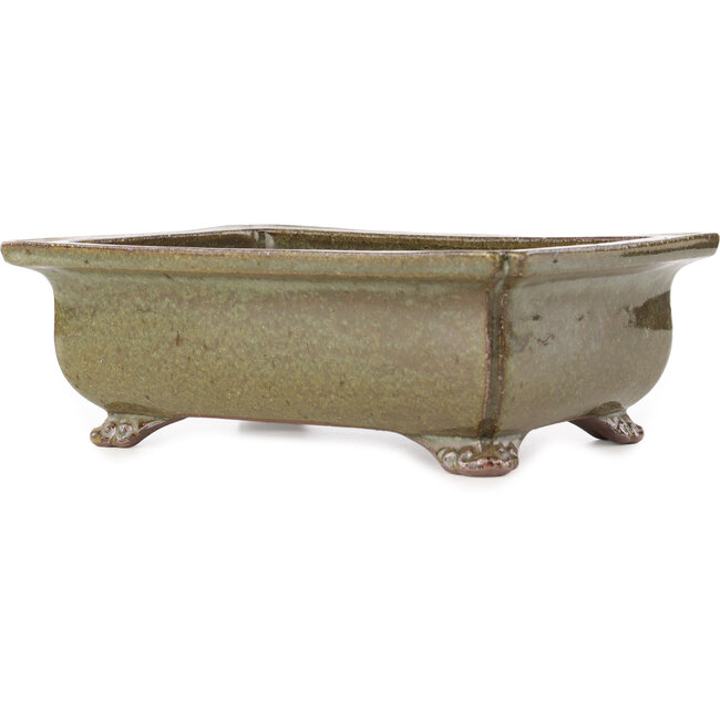 Pot à bonsaï rectangulaire marron de Reiho - 250 x 187 x 85 mm