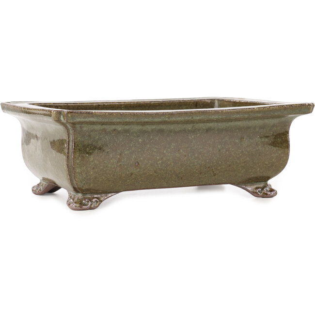 Rechteckiger brauner Bonsai-Topf von Reiho - 250 x 187 x 85 mm