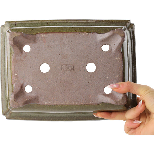 Pot à bonsaï rectangulaire marron de Reiho - 250 x 187 x 85 mm